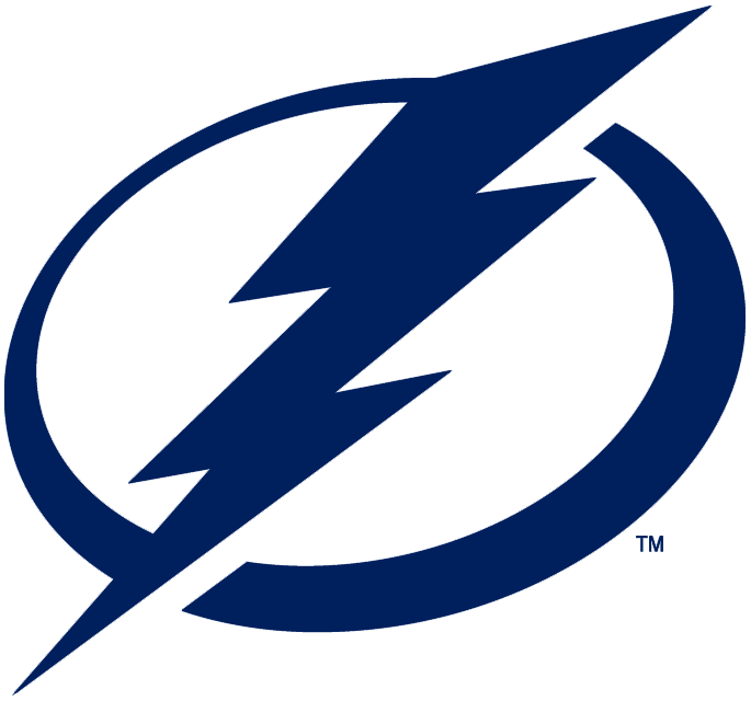 Tampa Bay Lightning 2011-Pres Primary Logo fabric transfer